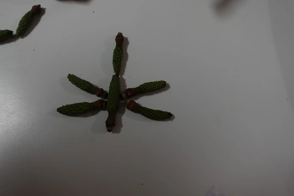 DSC02684.JPG?type=w1