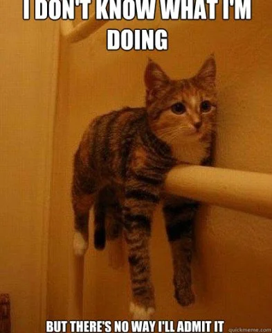 347d80261f3d0cbcc382ed45c68a0bc5910e3c04280ae116f2e02d29e2bef5fc.jpg?w=393&h=480