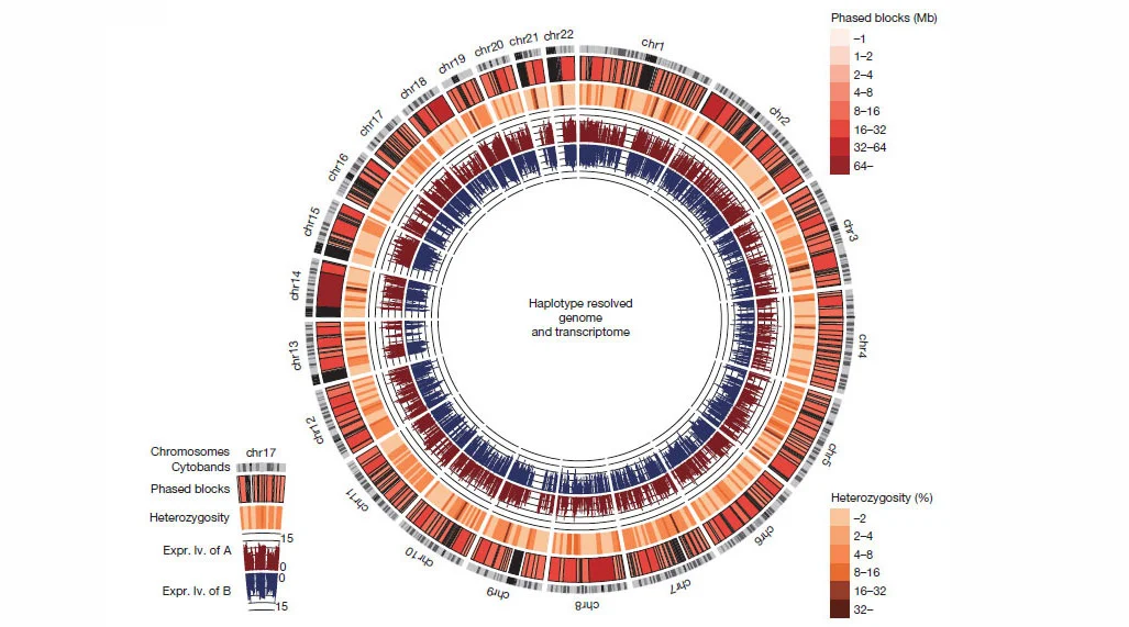 uc?id=0B-lhzlU9ntZ4b3gwcU53R0UwSE0&amp;export=download