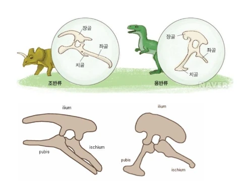 2021-06-24 14;41;30.PNG