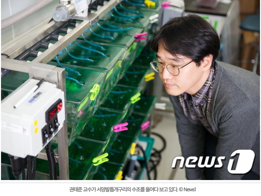 uc?id=0B-lhzlU9ntZ4MTE5Y3AzOTFKSlk&amp;export=download