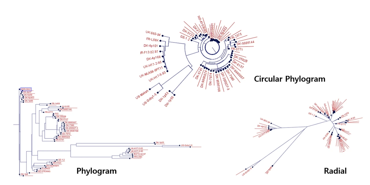uc?id=0B-lhzlU9ntZ4aS13TnhhcEJoWkk&amp;export=download