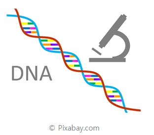 uc?id=0B-lhzlU9ntZ4NjRaVEo3ZU5TY2s&amp;export=download