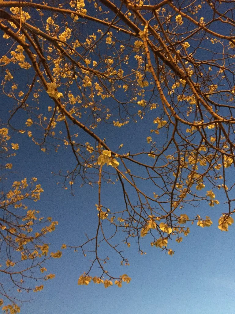 짙게 파랑 밤.jpeg