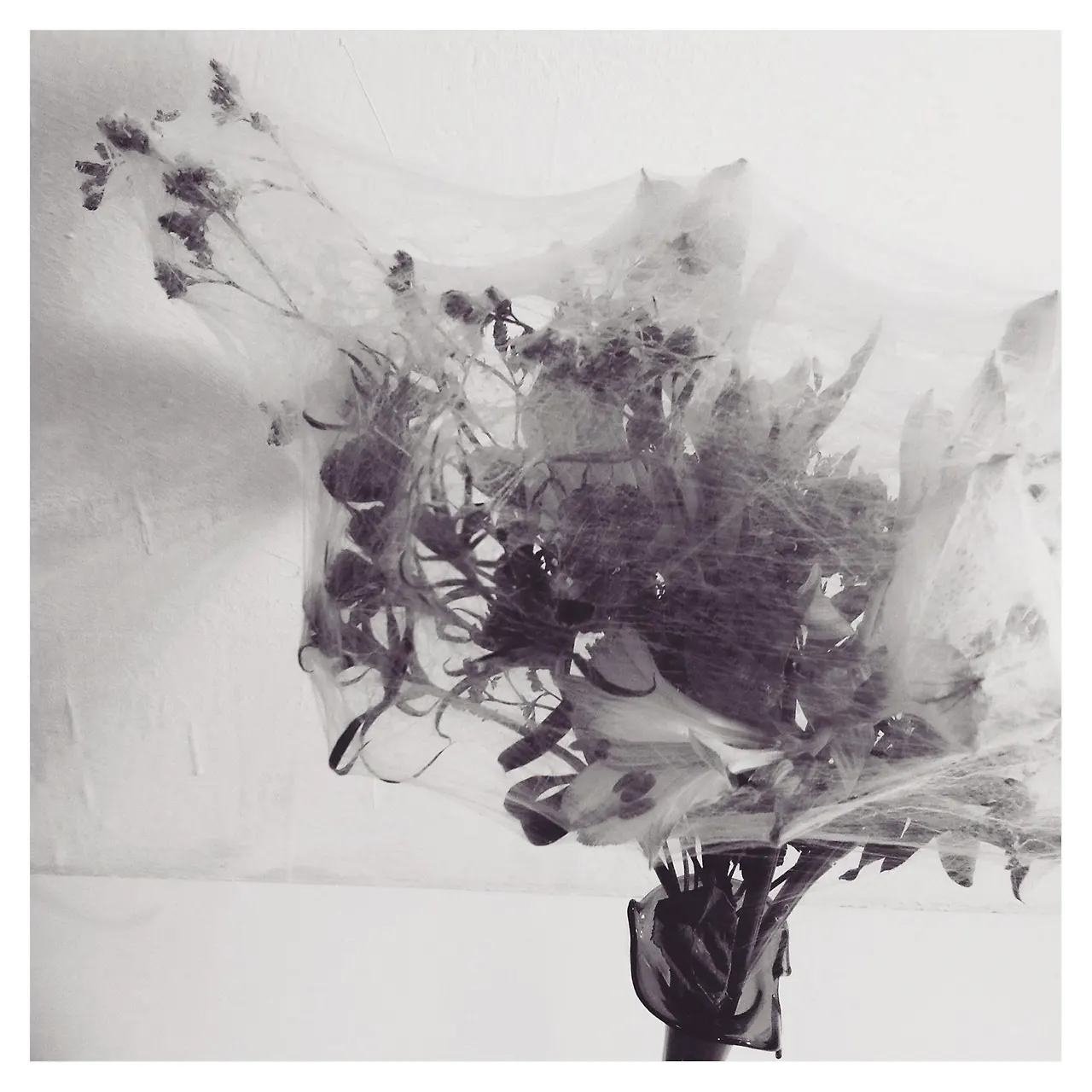 e18480e185b3-e18480e185a9e186bae1848be185a6-e18486e185a5e18486e185aee186afe18480e185b5e18485e185b3e186af.jpg?w=2720