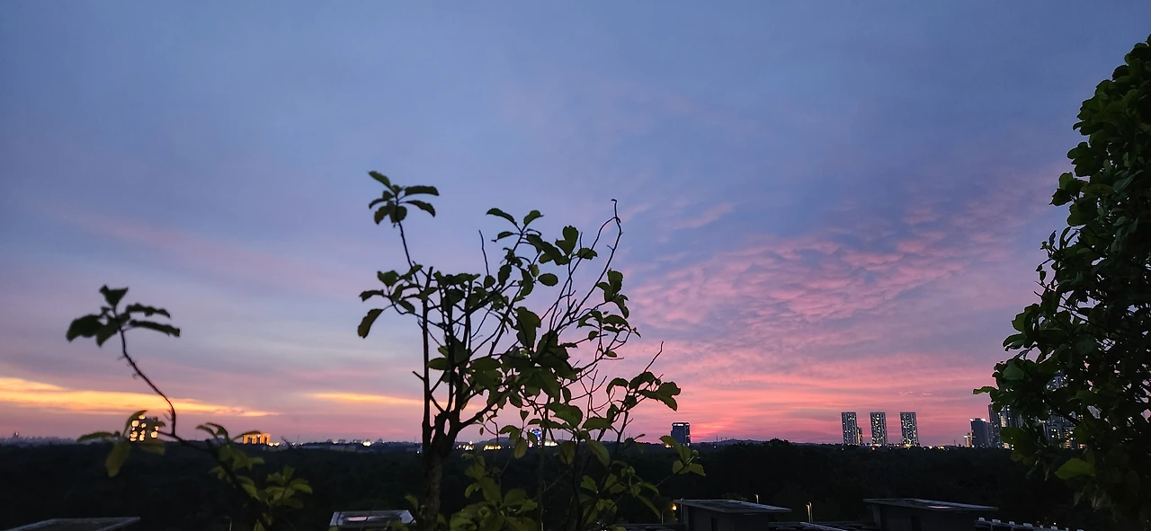 KakaoTalk_Photo_2025-12-09-16-24-58 017.jpeg