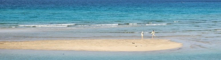 SE-12c26465-a8d0-435a-bd9f-c25fae10a5db.jpg?type=w773