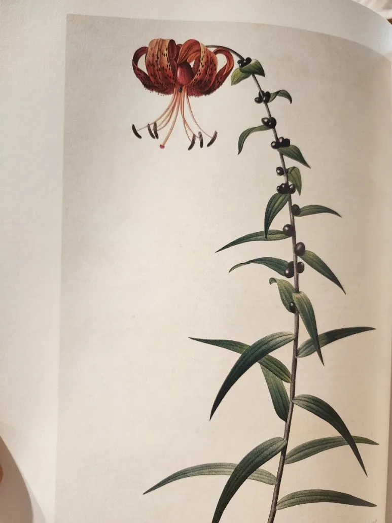 20240828%EF%BC%BF144241.jpg?type=w773