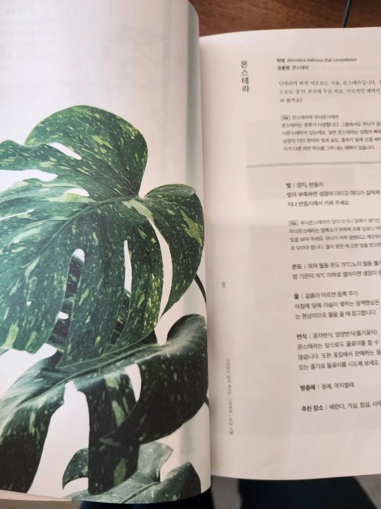 20230818%EF%BC%BF102429.jpg?type=w773