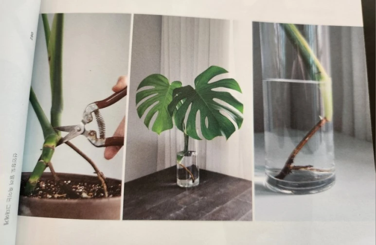 20230818%EF%BC%BF111524.jpg?type=w773