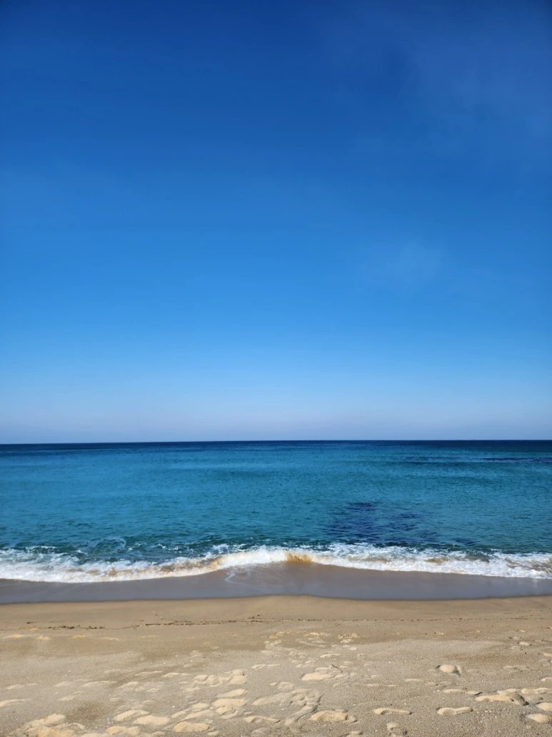 20240111%EF%BC%BF134159.jpg?type=w773