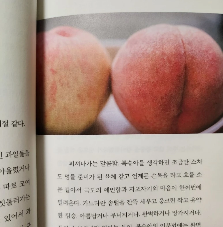 20231204%EF%BC%BF225629.jpg?type=w773