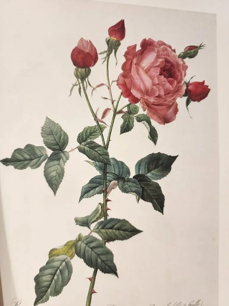 20240828%EF%BC%BF144629.jpg?type=w773