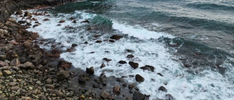 SE-6c5094eb-93ce-4e03-b61e-06126c549a0e.jpg?type=w773