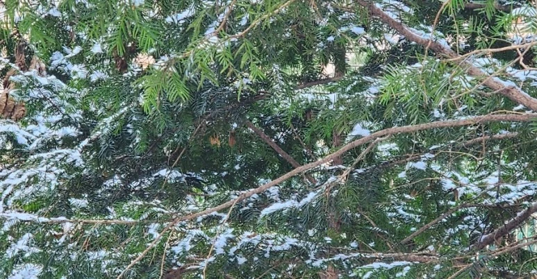 20231224%EF%BC%BF105433.jpg?type=w773