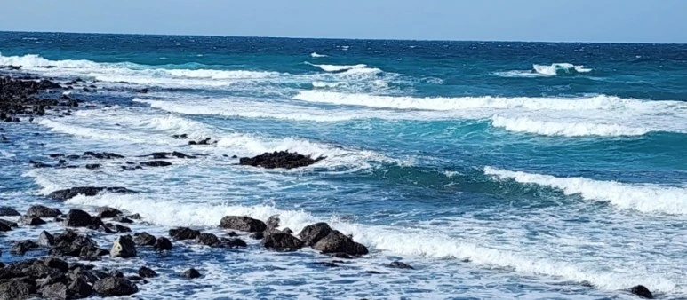 SE-074ecdb9-f19d-478e-9653-3492827d340e.jpg?type=w773