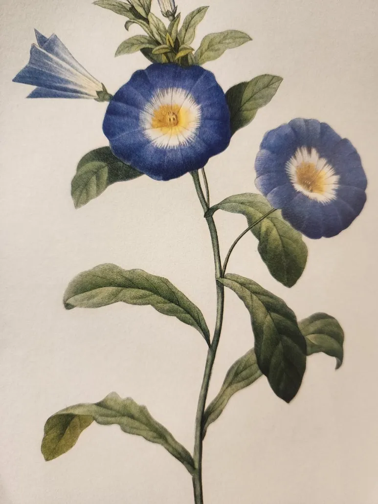 20240828%EF%BC%BF144856.jpg?type=w773