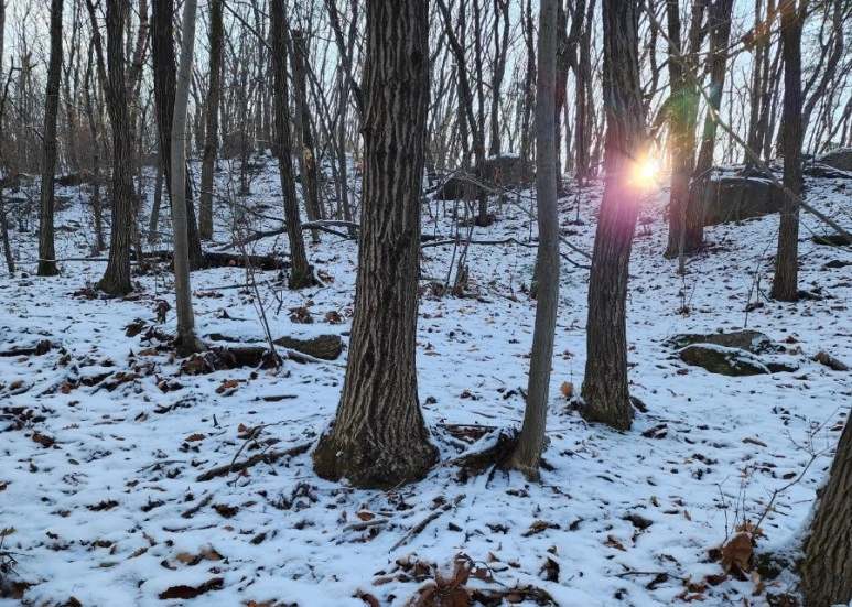 20231224%EF%BC%BF115110.jpg?type=w773