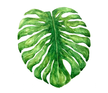 original_1.png?type=p100_100