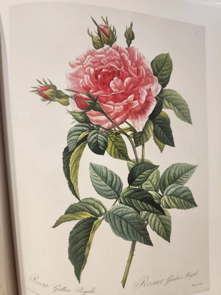 20240828%EF%BC%BF144617.jpg?type=w773