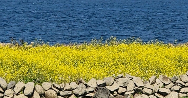 SE-9665453a-368a-11ee-8528-216fcea91fe8.jpg?type=w773