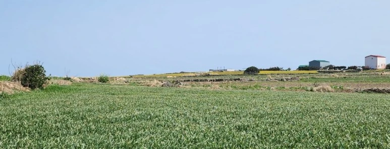 SE-41e8ca6d-94a9-4e33-8dd3-d6324e098ce2.jpg?type=w773