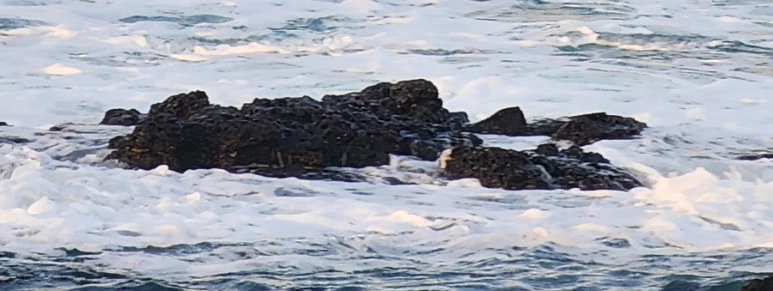 SE-2abd3bb1-1ee7-4b96-8073-300a72177d38.jpg?type=w773