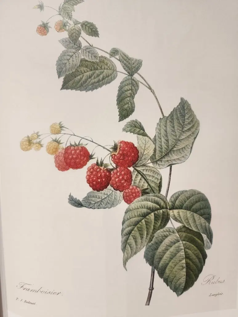 20240828%EF%BC%BF144833.jpg?type=w773