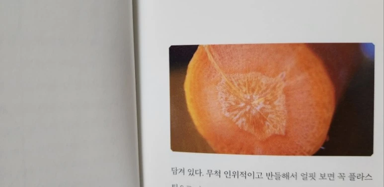 20231204%EF%BC%BF225658.jpg?type=w773