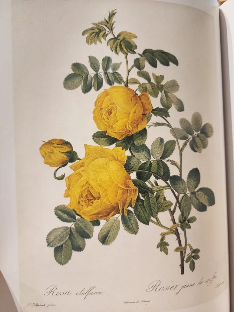 20240828%EF%BC%BF144325.jpg?type=w773