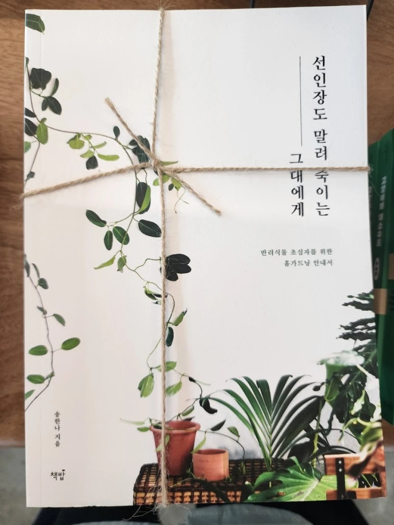 20230818%EF%BC%BF102527.jpg?type=w773