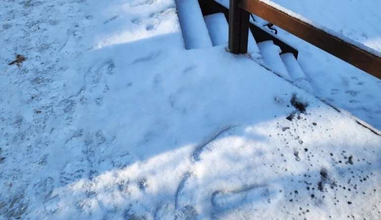 20231224%EF%BC%BF115451.jpg?type=w773