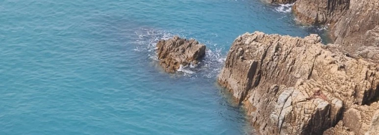 SE-dfefb9f7-c930-425c-b777-fb3d5b2a03b6.jpg?type=w773