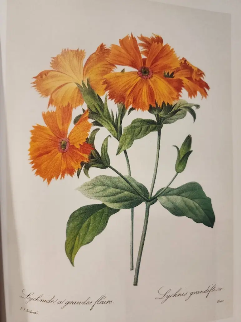 20240828%EF%BC%BF144858.jpg?type=w773