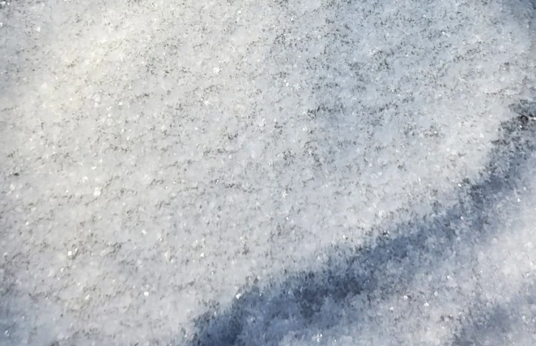 20231224%EF%BC%BF113750.jpg?type=w773