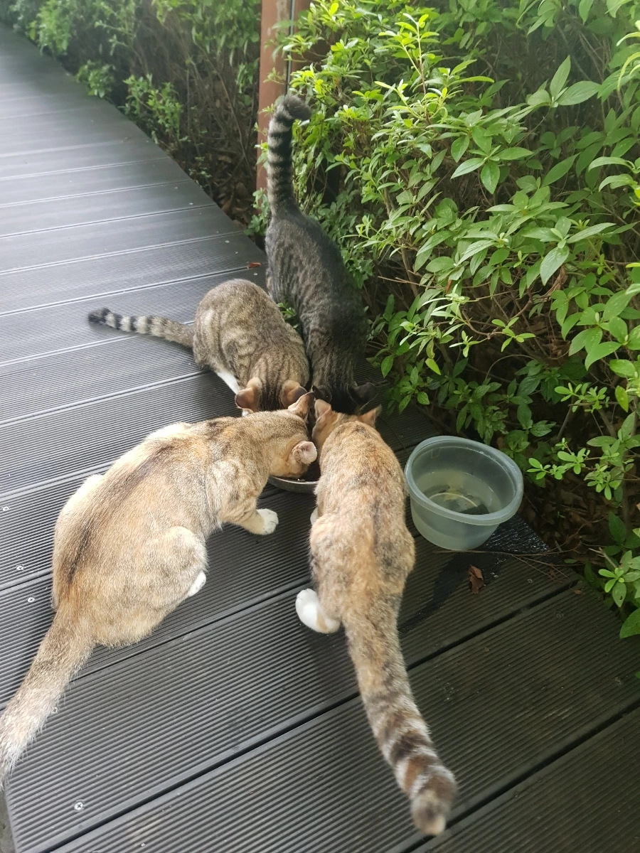 20220718%EF%BC%BF062910.jpg?type=w1