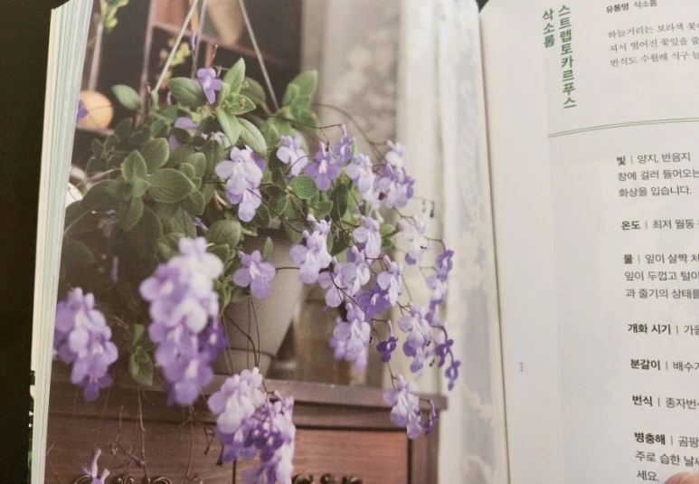 20230818%EF%BC%BF110717.jpg?type=w773