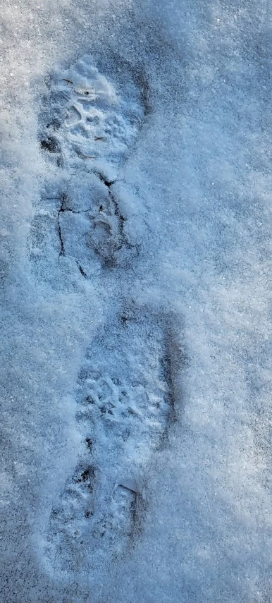 20231224%EF%BC%BF113709.jpg?type=w386