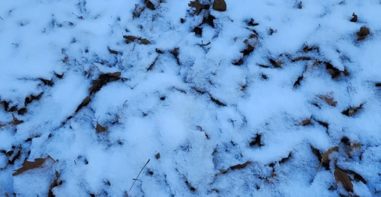 20231224%EF%BC%BF105459.jpg?type=w773