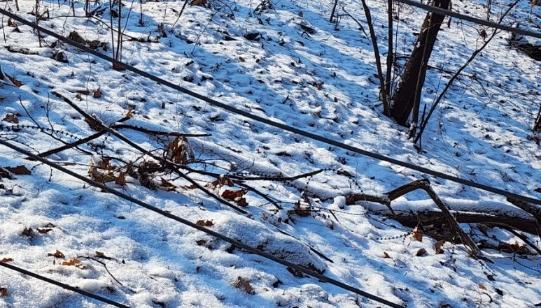 20231224%EF%BC%BF113835.jpg?type=w773