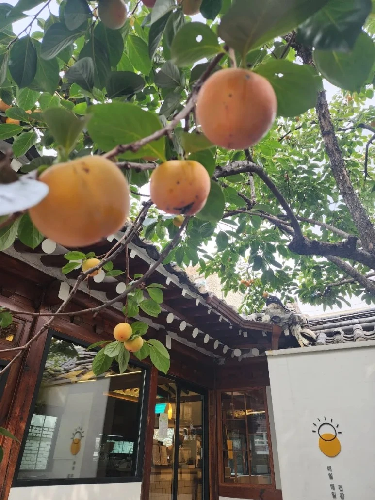 20231013%EF%BC%BF125034.jpg?type=w773