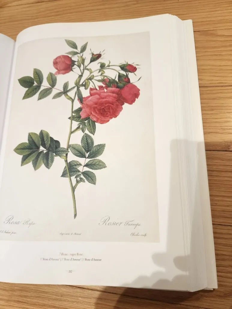 20240828%EF%BC%BF141105.jpg?type=w773