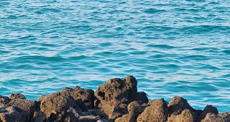 SE-965ba842-368a-11ee-8528-0597b62a68cc.jpg?type=w773