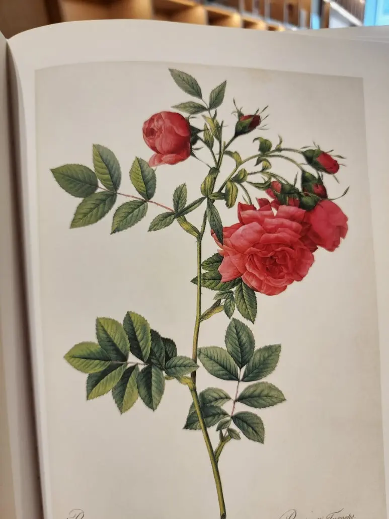 20240828%EF%BC%BF144605.jpg?type=w773