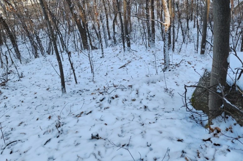 20231224%EF%BC%BF115104.jpg?type=w773