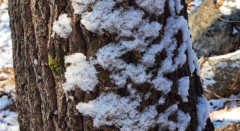 20231224%EF%BC%BF113823.jpg?type=w773