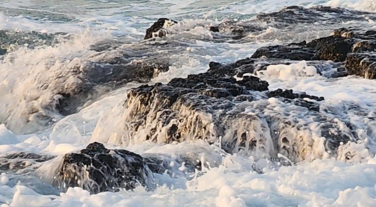 SE-f7e03e41-34b6-4d99-beb8-c5d5f9ef99b9.jpg?type=w773