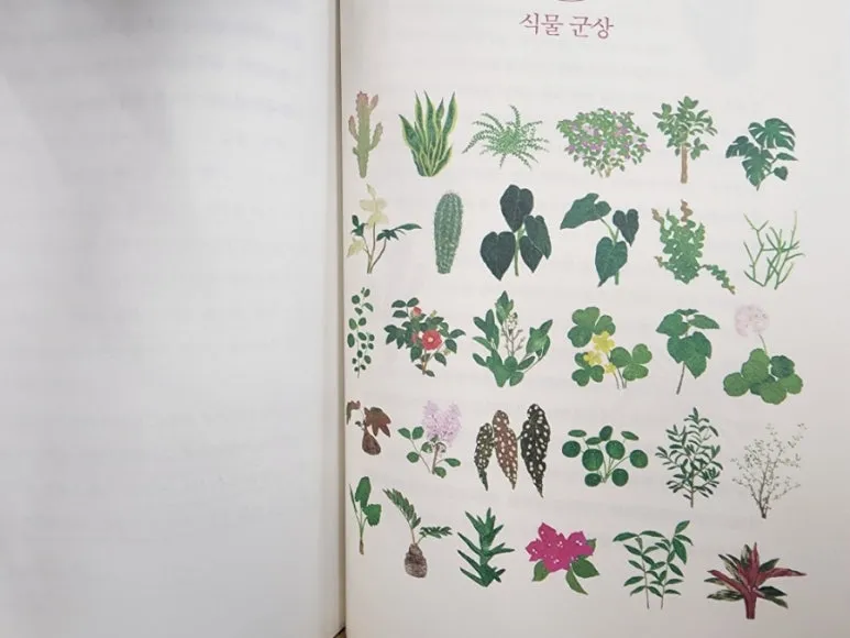 20240716%EF%BC%BF184404%EF%BC%880%EF%BC%89.jpg?type=w773