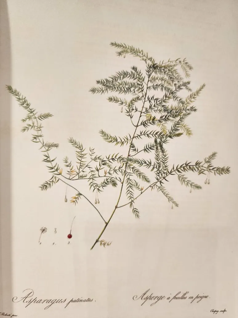 20240828%EF%BC%BF144255.jpg?type=w773