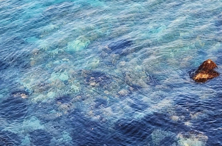 SE-965c6b93-368a-11ee-8528-919825bbfda5.jpg?type=w773